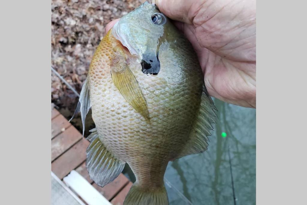 The Fishing Hole Cabin - Sage Vacations
